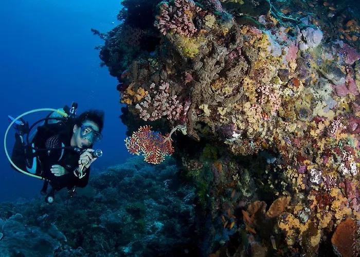 Planet Nomadas Nusa Lembongan